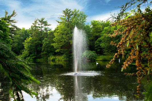 10 Ways Pond Fountains with Lights Enhance Outdoor Ambiance [Infographic]