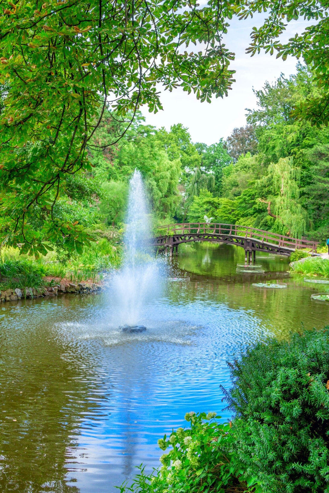 What Kind of Aeration System is Right for my Pond?