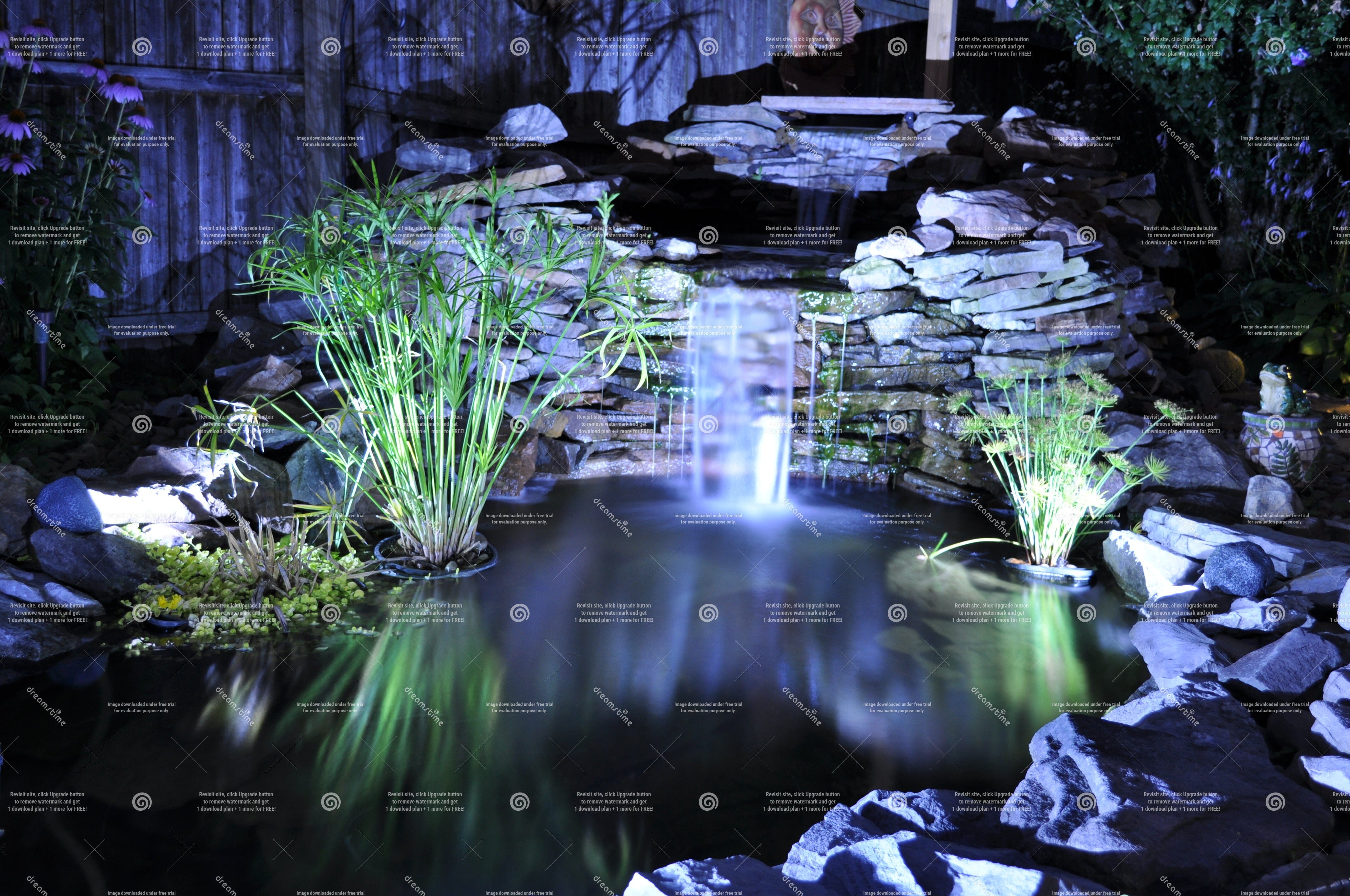 M. Marten, Lights in the Pond 公園 風景画 | AVSSC.CA