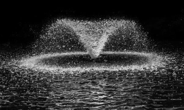 4 Things You Need to Consider When Purchasing a Water Fountain