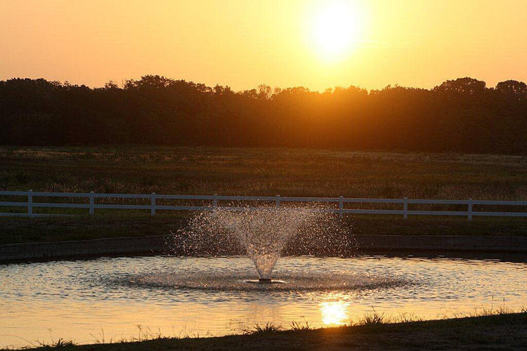 Scott DA-20 1/3HP Display Aerator Small Ponds Scott