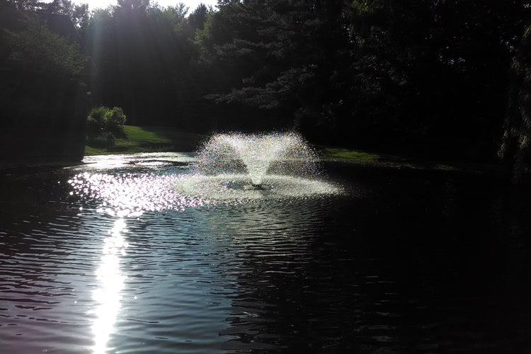 Scott DA-20 1/3HP Display Aerator Small Ponds Scott