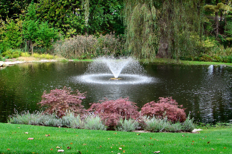 Scott DA-20 1/3HP Display Aerator Small Ponds Scott