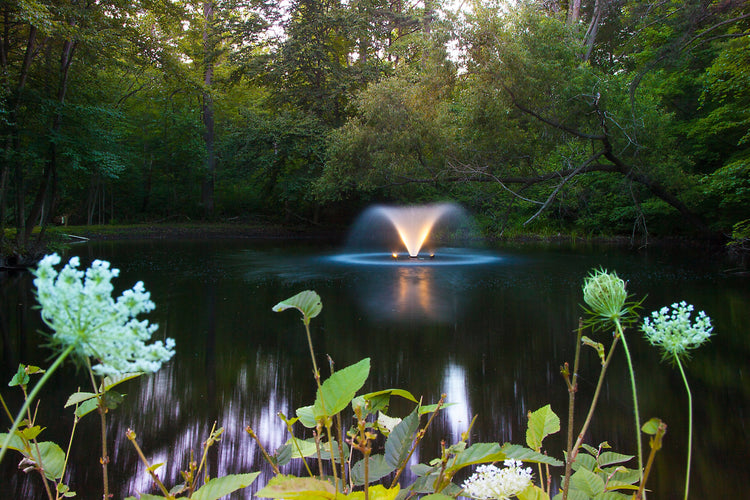 Scott DA-20 1/2HP Display Aerator, 115v Fountain Mountain