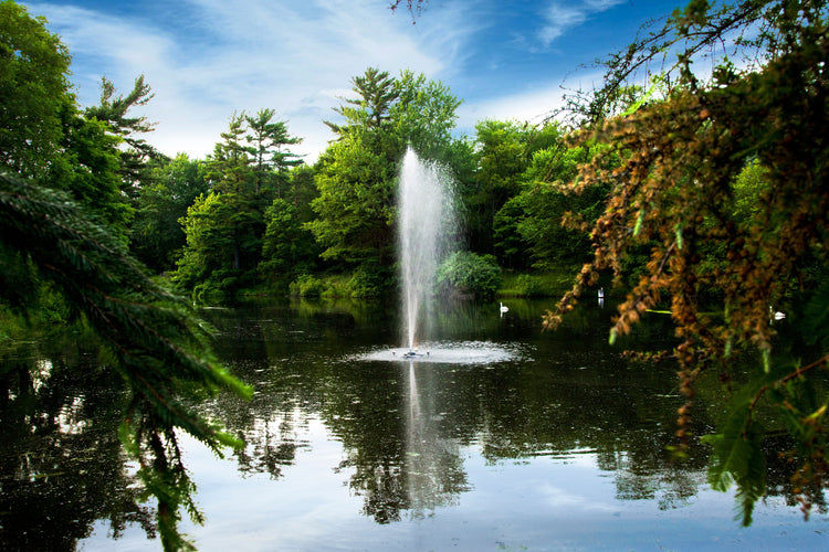 Scott Gusher Fountain, 1/2 HP, 115v Scott