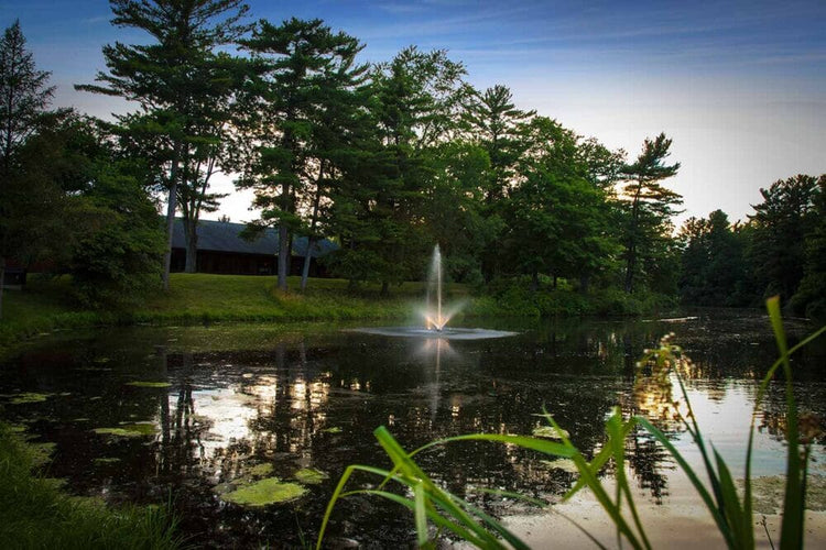 Scott Skyward 1/2HP Large Pond Fountain Scott