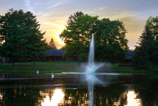 Scott Skyward 1½ HP, 230v Large Pond Fountain Scott