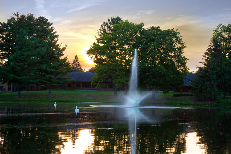 Scott Skyward 1½ HP, 230v Large Pond Fountain Scott