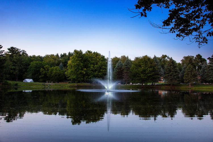 Scott Skyward 1½ HP, 230v Large Pond Fountain Scott