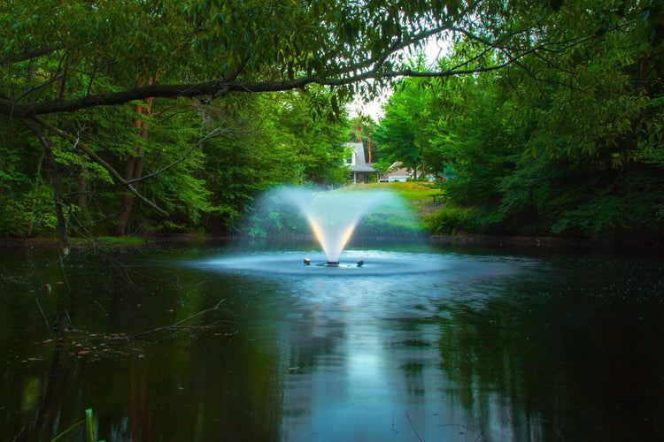 Scott DA-20 1/2HP Display Aerator, 115v Fountain Mountain