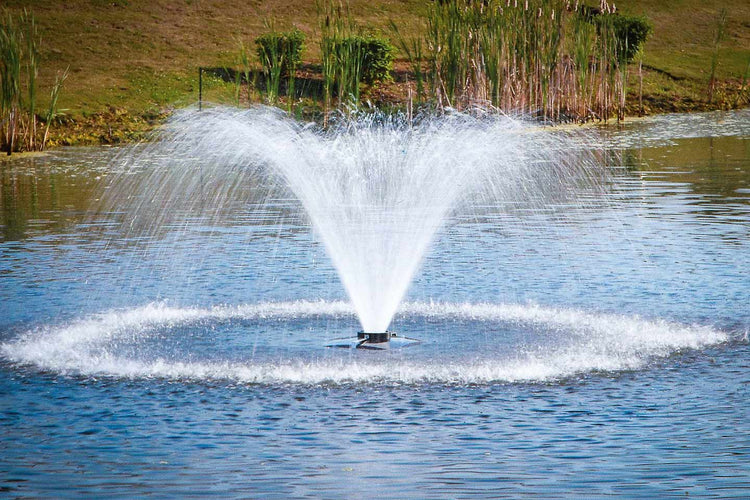 Scott DA-20 1HP Display Aerator, 115v Fountain Mountain