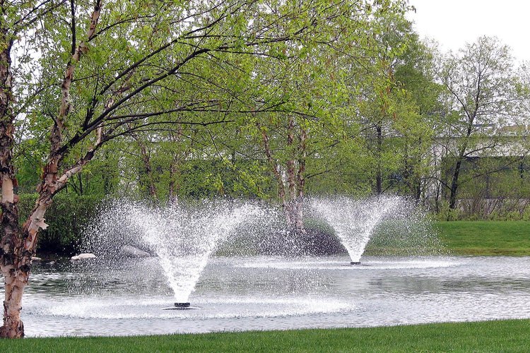 Scott DA-20 Display Aerator, 1/2 HP, 115v Fountain Mountain