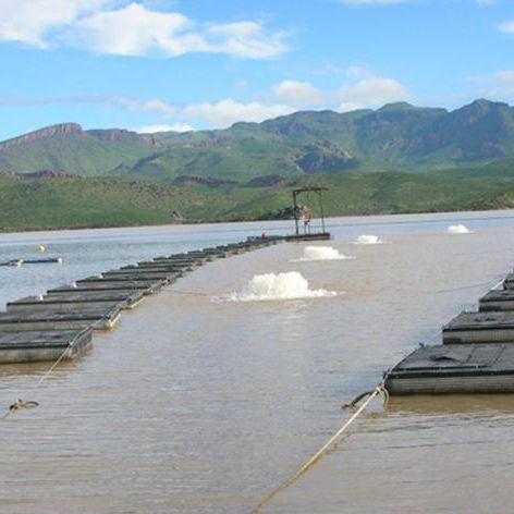 Kasco 3.3 Aerator, 3-Phase, 3 HP Kasco