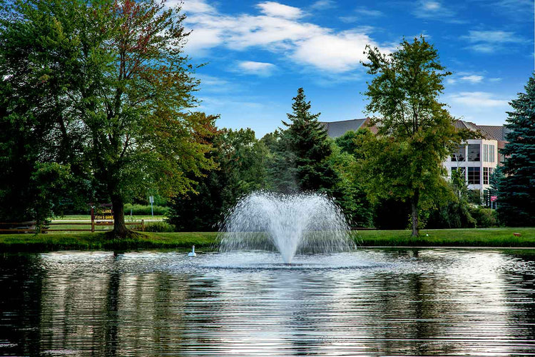 Scott DA-20 Display Aerator, 1 HP, 115 V Fountain Mountain