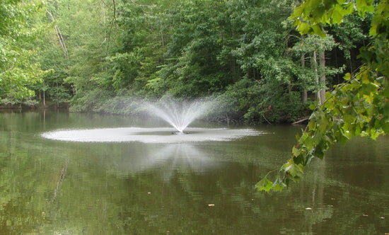 Pond Fountain with Lights, FF-100-large6000 from $899! Large Pond Fountain Fountain Tech
