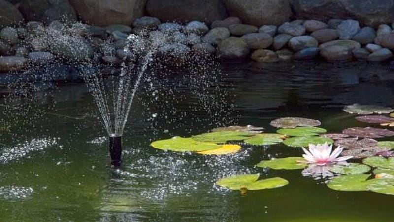 Tips to Use to Keep Pond Water Clean