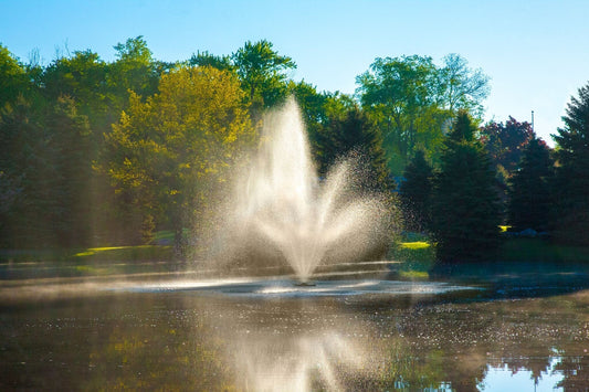 Scott Pond fountains