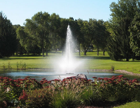 Do I Need a Fountain or an Aerator?