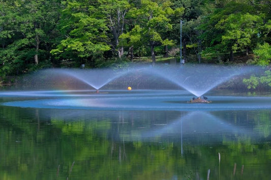 8 Key Features to Look for in Modern Pond Fountains [Infographic]