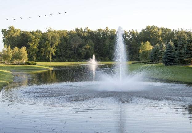 7 Ways to Decorate Your Pond