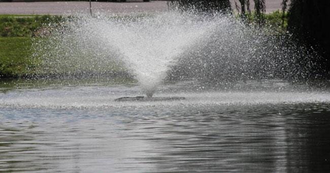 Always Remember Aeration When You Buy Fountain Ponds