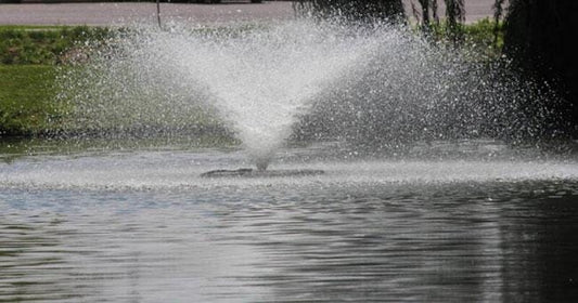 Always Remember Aeration When You Buy Fountain Ponds