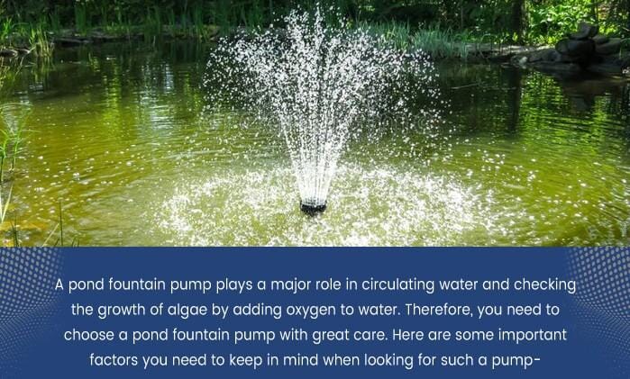 Infographic: How To Choose A Pond Fountain Pump?