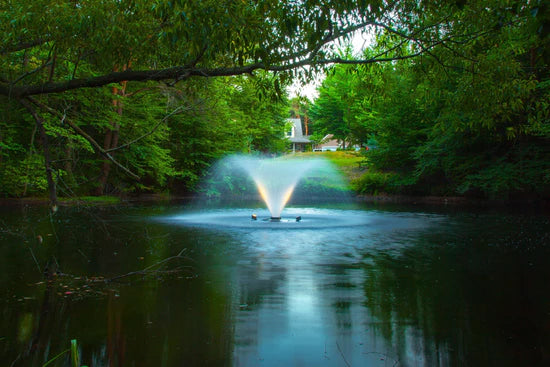 7 Tips for Designing Your Garden with Pond Fountains [Infographic]