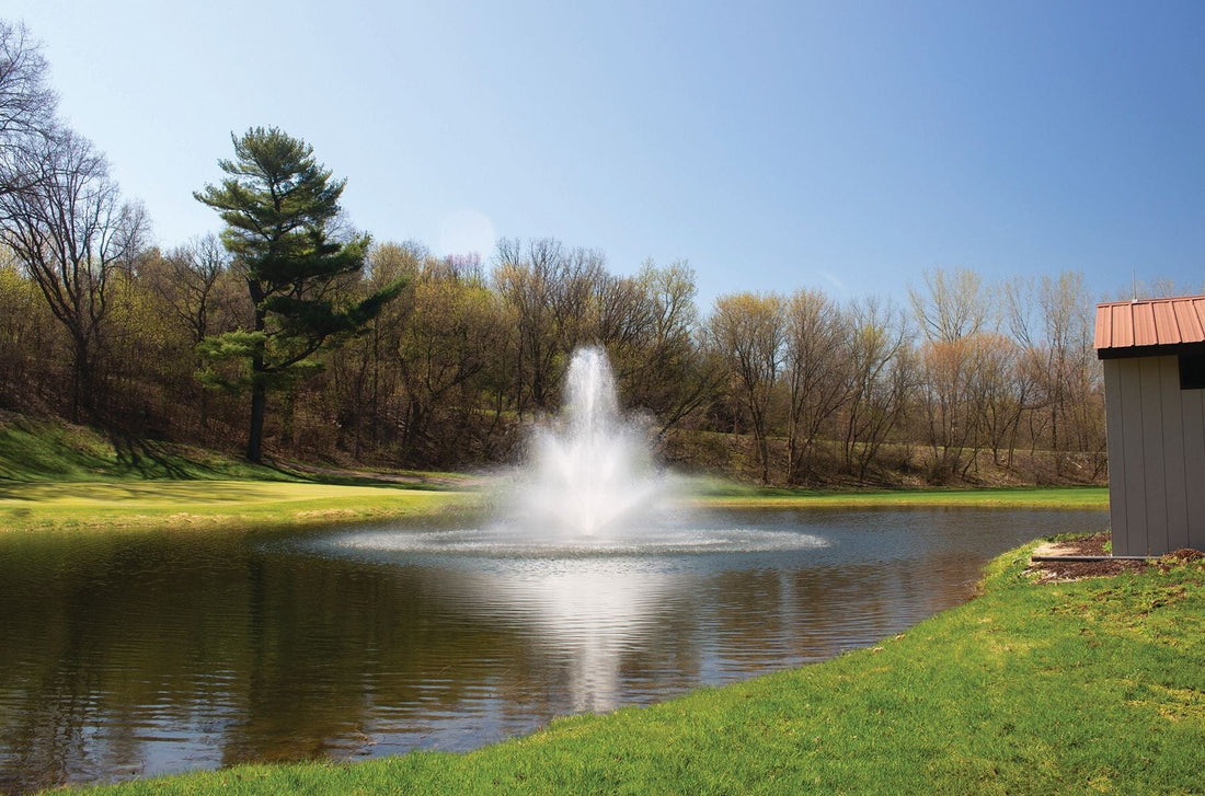 How to Maintain Golf Course Pond