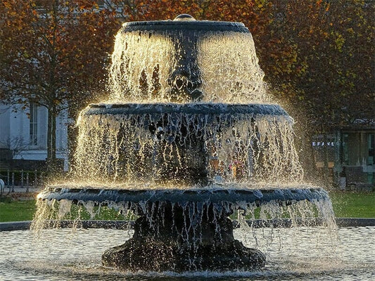 Ecosystem Benefits of Properly Sized Pond Fountains
