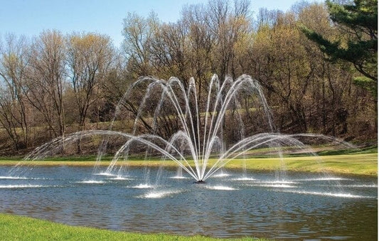 Pond Fountain Guide: Benefits, Types, and Tips