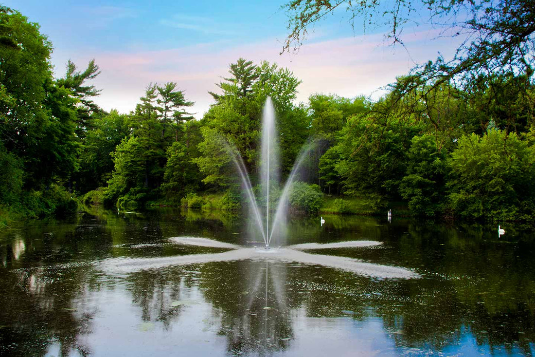 7 Care Tips for Your Scott Fountain [Infographic]