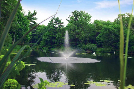 Enhancing Your Property Value with a Pond: A Guide to Selecting the Right Pond Fountain and Aeration System