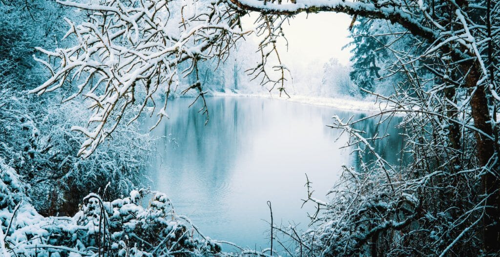 Winterizing Your Large Pond