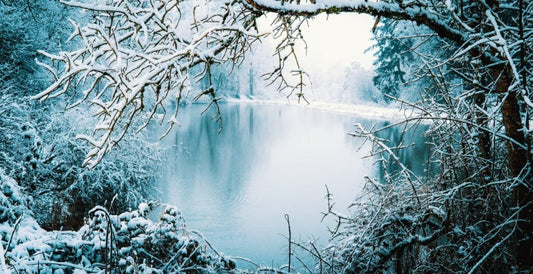 Winterizing Your Large Pond