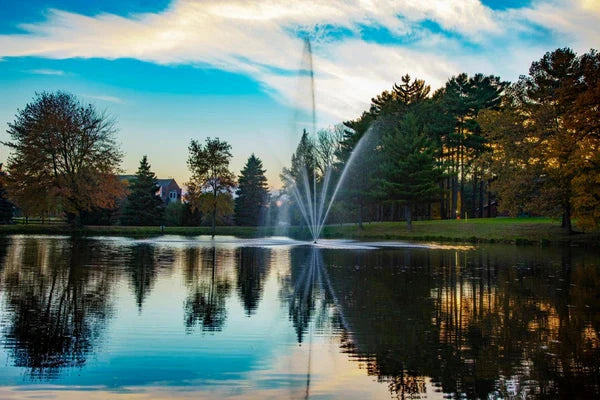 Scott Atriarch 3 HP Large Pond Fountain Scott Aerator 