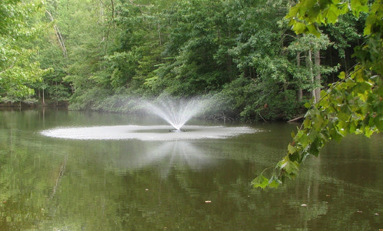 Pond Fountain with Lights, FF-100-large6000 from $899! Large Pond Fountain Fountain Tech 