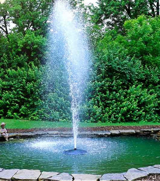 FF-100-large6000 Large Pond Fountain Fountain Tech 