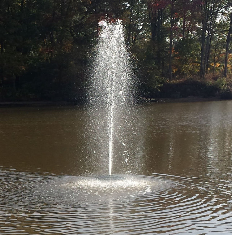Pond Fountain with Remote Controlled Light Kit for $899! Fountain Mountain 